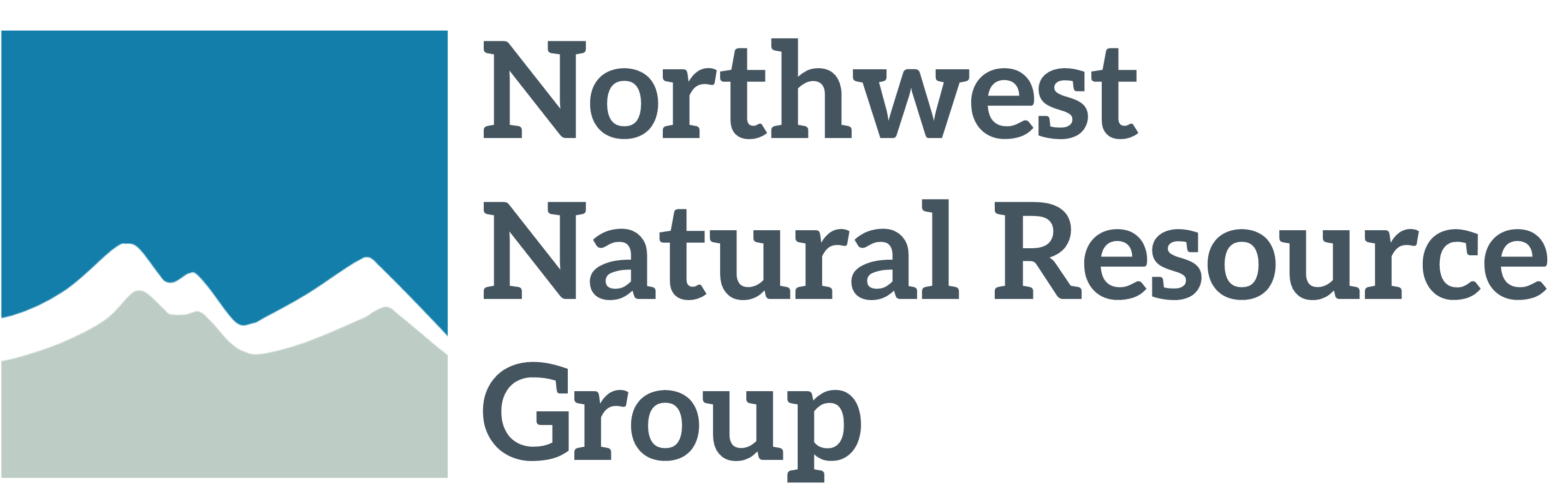 NNRG Logo