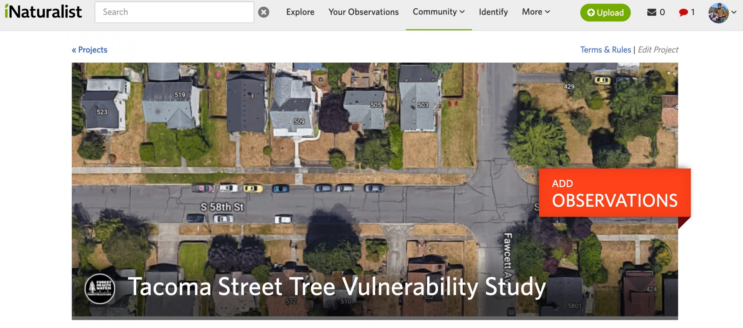 iNaturalist Tacoma Tree Study